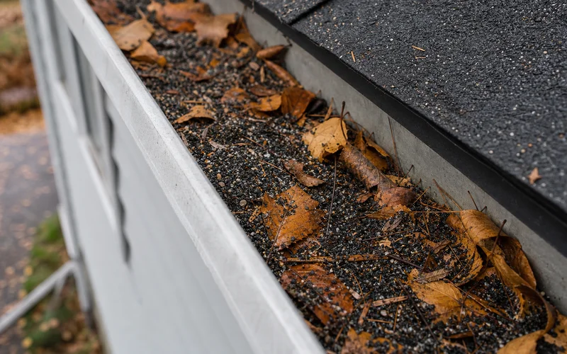 Granule accumulation in a residential gutter, autumn light, Hartford County